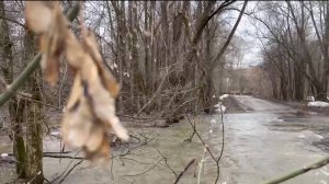 В Уфе подтопило дорогу к СНТ «Зеленый мыс»