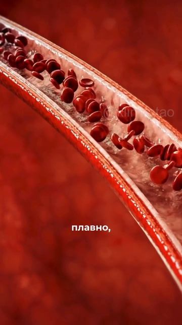 Овощ против старения с точки зрения ТКМ