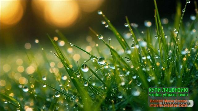 МЫ С ТОБОЙ ДВЕ ПОЛОВИНКИ...