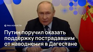 Путин поручил оказать поддержку пострадавшим от наводнения в Дагестане
