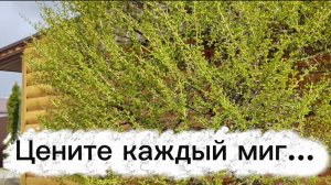 Цените каждый миг...