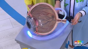 Врач смотрит в глаз - и видит проблему раньше других. Жить здорово! Фрагмент выпуска от 07.04.2026