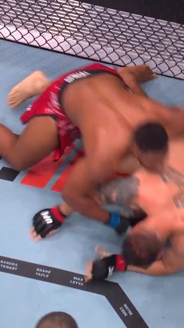 Mario Pinto MMA смотреть онлайн