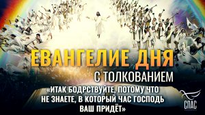 «Итак бодрствуйте, потому что не знаете, в который час Господь ваш придёт» / Евангелие дня