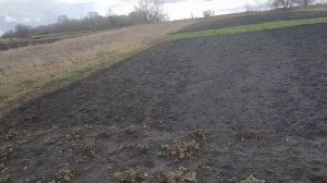 7,04,26. Частичный посев травы для заманивая пчел ,и что бы не рос сорняк.