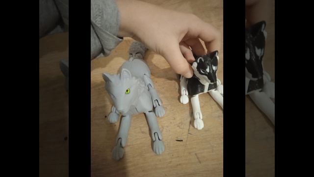 украдываю нового щенка.