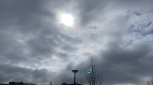 ПАРК ГОРЬКОГО МОСКВА