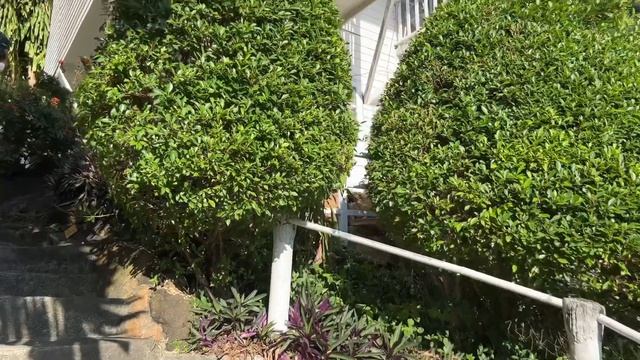 Переезд на Пхи Пхи Дон, phi phi don