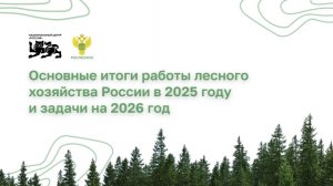 Основные итоги работы лесного хозяйства России в 2025 году и задачи на 2026 год