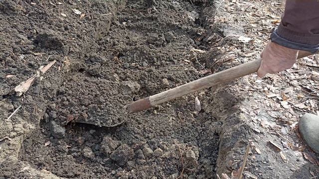 Аквариумные рыбки. Начинаю новый эксперимент по разведению на даче