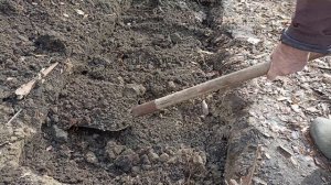 Аквариумные рыбки. Начинаю новый эксперимент по разведению на даче