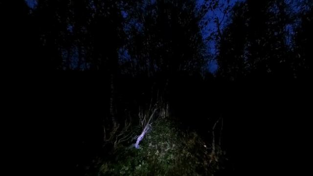 2021.09.09 излесадр