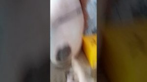 влог поставьте лайк и подпишись пж я старалась влок видио