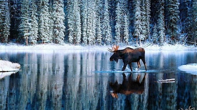 Коран сура  Ас-Саффат  чтец Мухаммад аль-Факих