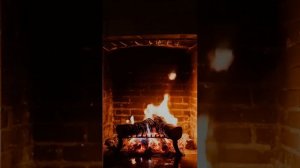 Встреча старых друзей