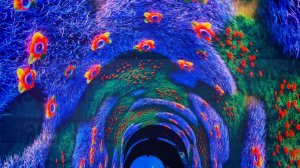 Кроличья нора в парке Галицкого - интересная новая локация.