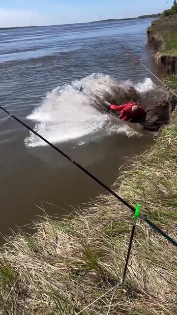 Надо же такому случиться...