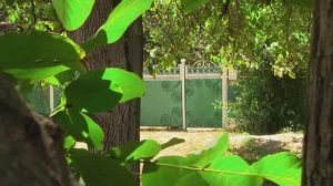 Южные станицы России| Кубань (2025)