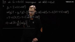 Манухов С.И. - Теория групп - 10. Представления групп и алгебр Ли