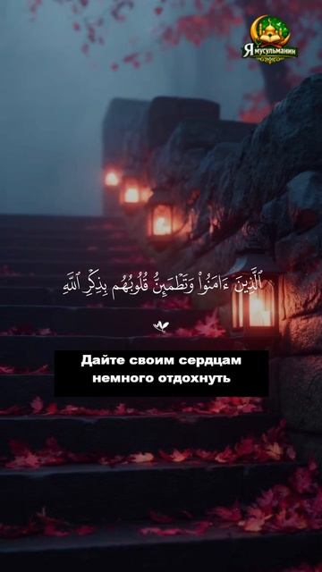 Дайте своим сердцам немного отдохнуть