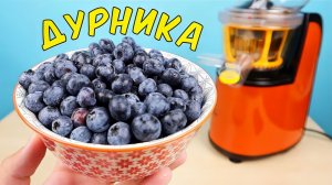 Что если выжать сок из Дурники (Голубики)? Дурника - самая крутая ягода в мире! alex boyko