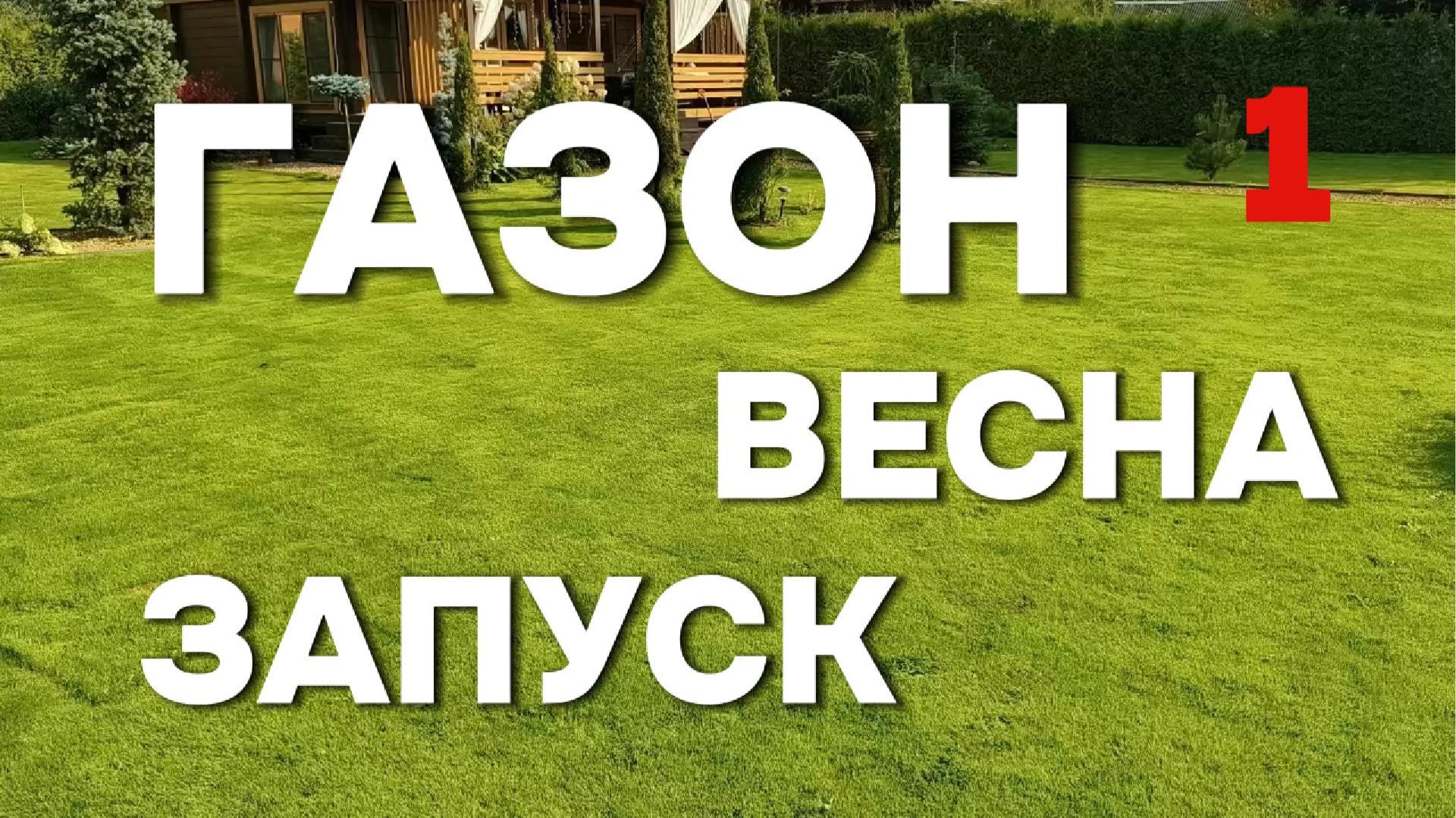 Аммиачная селитра для газона: результат через 3–5 дней