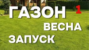 Аммиачная селитра для газона: результат через 3–5 дней