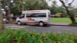 Аллеи Амариллисов!