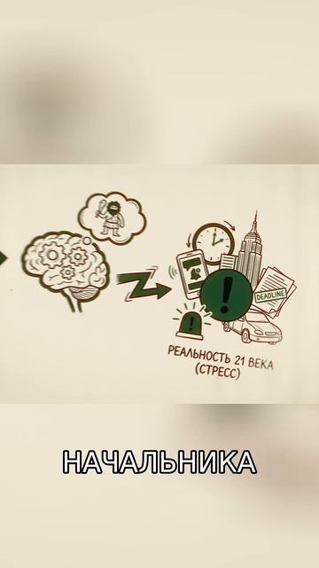 Почему Вы Сжимаете Зубы Во Сне?  Древний Страх В Ваших Челюстях!