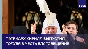 Патриарх Кирилл выпустил голубя в честь Благовещения