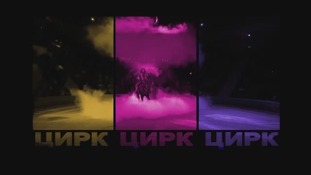 "Амирэя" Цирковой номер