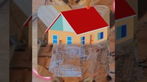 1000055318.mp4 (Собака наблюдает за устройством лестницы на 2-ой этаж в доме А-фрейм)