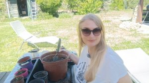 Пикируем и болтаем. На даче.