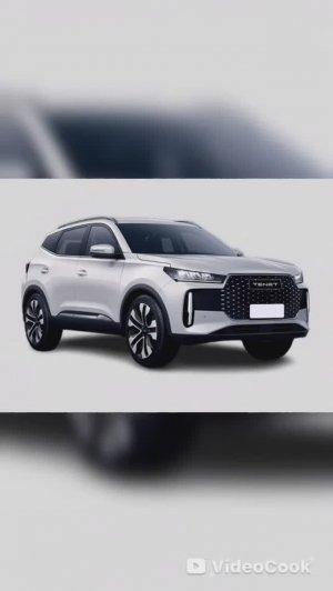 ТЕНЕТ Т4 Антикоррозийная обработка!