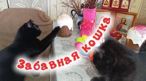 ЗАБАВНАЯ КОШКА и КУЛИЧ.