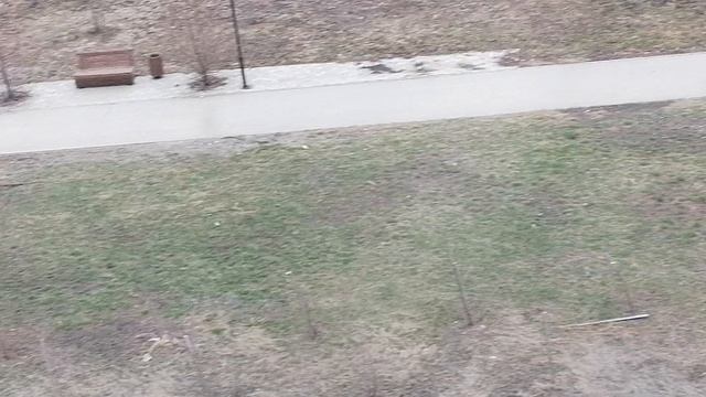 Снег полностью растаял 😀 7 апреля 2026 год