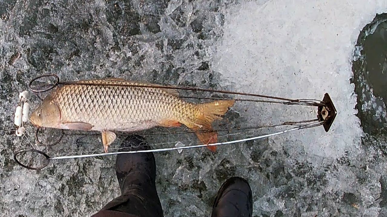 ХАПУГА 2.0 Лучшая Зимняя Рыбалка. Секретные Снасти и Места. Русская Рыбалка 2026 на RUTUBE Онлайн