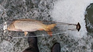 ХАПУГА 2.0 Лучшая Зимняя Рыбалка. Секретные Снасти и Места. Русская Рыбалка 2026 на RUTUBE Онлайн