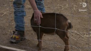 Аляска: Семья из леса 11 сезон 7 серия (реалити-шоу, 2020)