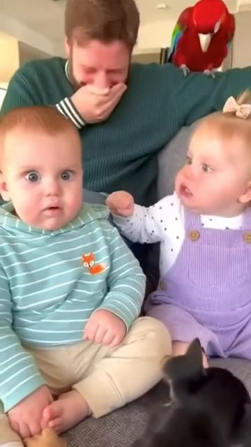 Возражения не принимаются