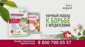 Коллайдер - научный подход к борьбе с гусеницами и колорадским жуком