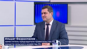 Минсельхоз Башкортостана: «В посевной более 80 процентов семян – собственного производства»