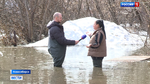 Дачное общество ушло под воду в Первомайском районе Новосибирска