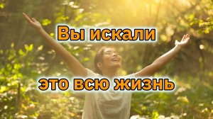 Вы искали это всю жизнь.