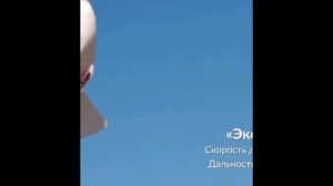 представляем Голубеграм.mp4