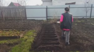 Всегда сею морковь в апреле и конце мая. 8 апреля 2026 г.