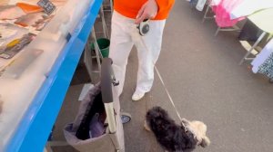 Обзор цен на продукты в Париже с Люсей ❤️🔥❤️🔥❤️🔥