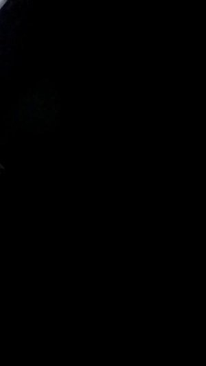 Играем в бэкрумс