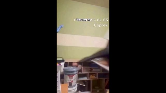 Косметический ремонт в Донецке и Макеевке