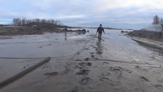 РЫЖИЙ ПРИШЁЛ СО СЛЕЗАМИ! ВОЗЬМИ В МОРСКОЙ МАГАЗИН С СОБОЙ!ПРИШЛИ В МАГАЗ А ТАМ СИГОВ И ДРУГОЙ РЫБЫ!